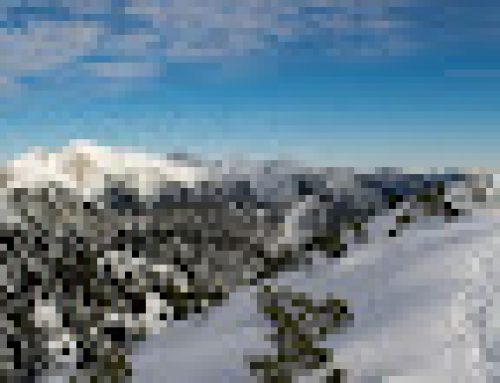 The Promises of Psalm 91