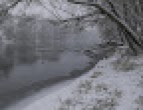 Favorite Scripture Verses