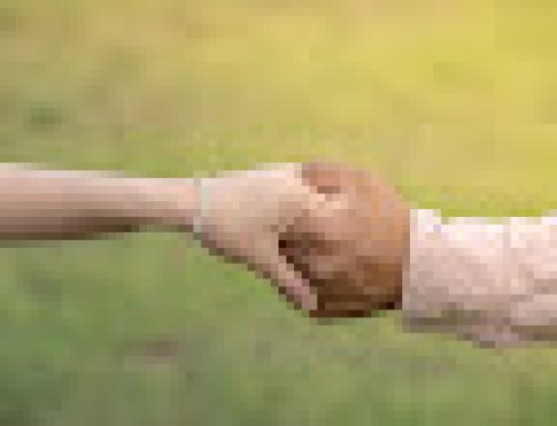 Differences Between Men & Women: Conclusion