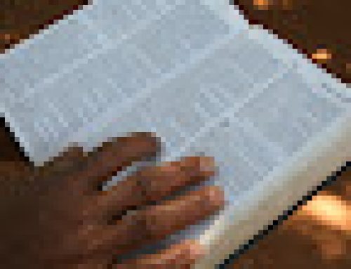 The Study of the Bible
